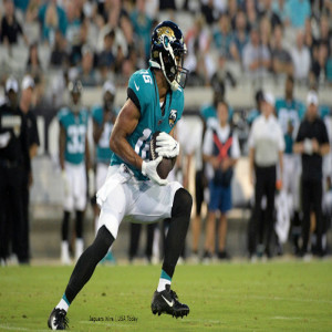 On the Prowl - Dan Tortora with Jacksonville Jaguars’ Wide Receiver C.J. Board with the team at 4-4 in the 2019-20 Season