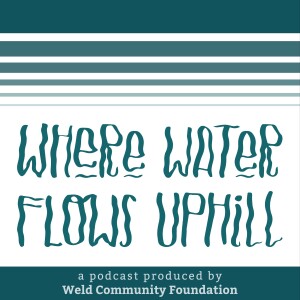 The First Step into Creative Waters (episode 5)