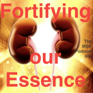 The MBD Podcast #005 Fortifying our Essence