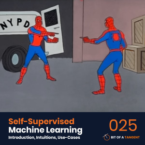 025 | Self-Supervised Machine Learning: Introduction, Intuitions, and Use-Cases