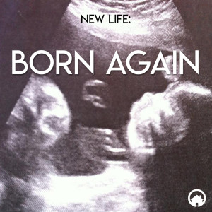 New Life: Born Again