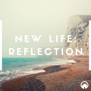 New Life: Reflection