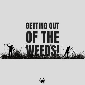 Getting Out Of The Weeds!