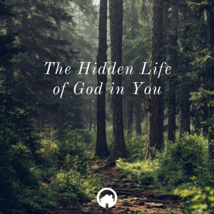 The Hidden Life of God in You