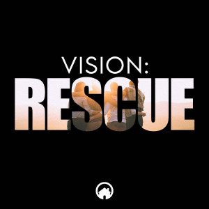 Vision: Rescue