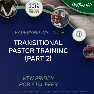 Transitional Pastor Training—Transitional Pastor Training, Part 2