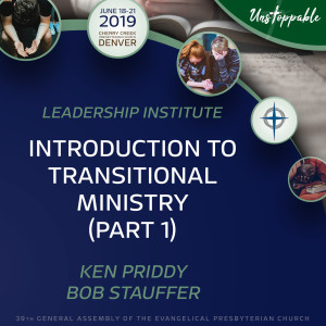 Transitional Pastor Training—Introduction to Transitional Ministry, Part 1