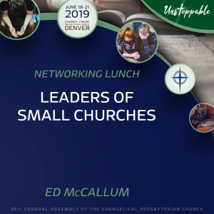 Networking Lunch—Leaders of Small Churches