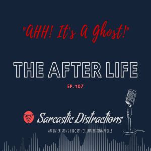 Sarcastic Distractions Episode 107 The After Life