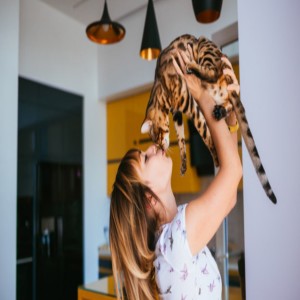 5 Surprising Benefits Of Being A Cat Owner