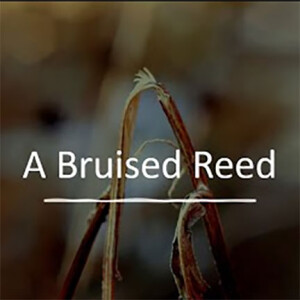 A Bruised Reed