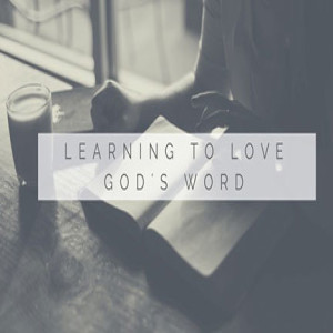 Learning to Love God’s Word: Part 7 - Boundaries and Standards in the Word
