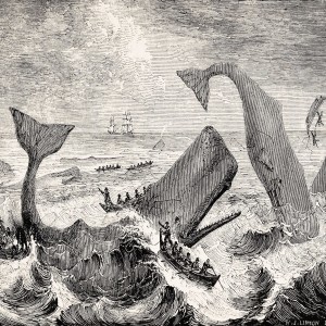 Episode 94: Whaling Away