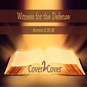 2019-11-24 - Witness for the Defense