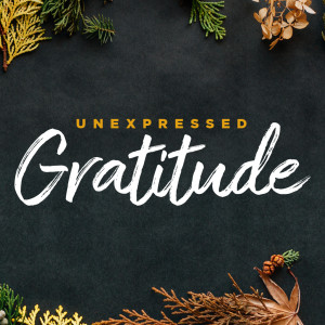 Unexpressed Gratitude - Part 1