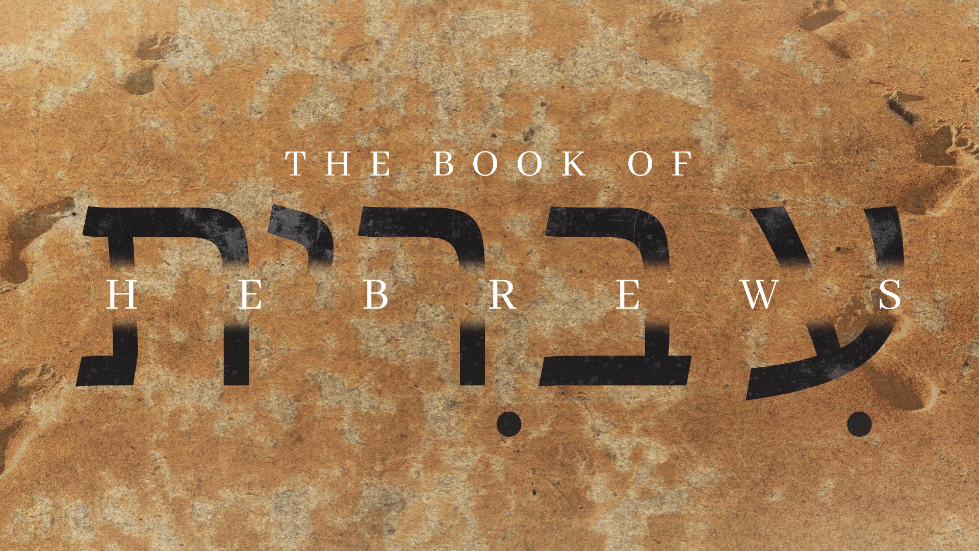 The Book of Hebrews - Part 8