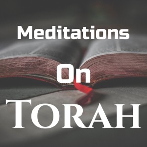 Meditations on Torah.  God is with you