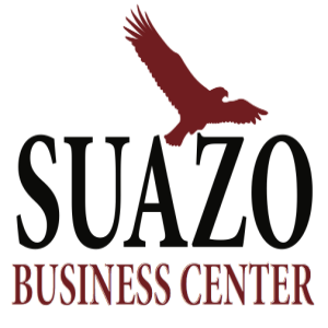 Interview with Silvia Castro of the Suazo Center