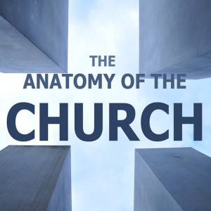 Anatomy of Church Series: The Builder