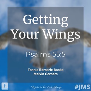 Getting Your Wings