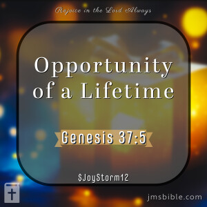 Opportunity of a Lifetime