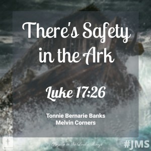There’s Safety in the Ark