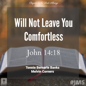Will Not Leave You Comforltless