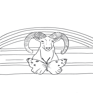 ARIES Archetype