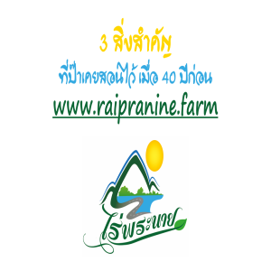 3 สิ่งที่สำคัญ