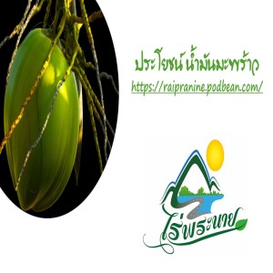 ประโยชน์น้ำมันมะพร้าว