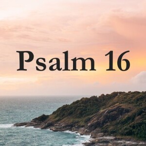 Single Minded Whole Hearted (Pastor Alex) June 29 2025
