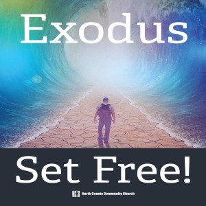 God's Way --&gt; My Will - Mark Brauss 