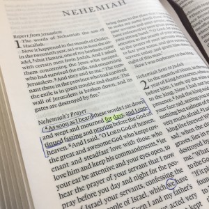 Nehemiah 2 - Planning, Patience, Participation