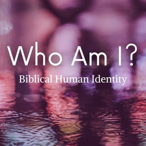 Who Am I? Sin Affected (Gen 3:8-19; Rom 3:9-20)