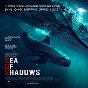 Sea of Shadows - Richard Ladkani, Walter Koehler, and Andrea Crosta Q&A