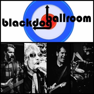 The Daily Sweep Episode 17 - Blackdog Ballroom / Open Mics