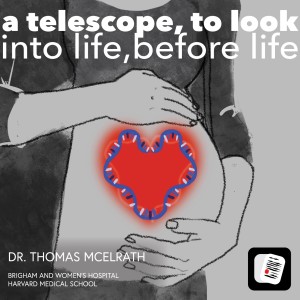 A telescope to look into life, before life