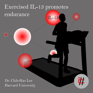 Exercised IL-13 Promotes Endurance