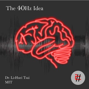 The 40Hz Idea