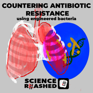 Countering antibiotic resistance using engineered bacteria