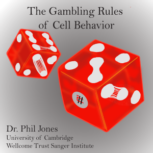 The Gambling Rules of Cell Behavior