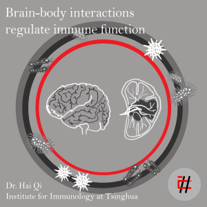 Brain-Body Interactions Regulate Immune Function