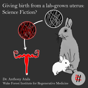 Giving birth from a lab-grown uterus: science fiction?
