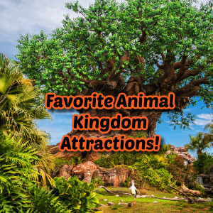 Favorite Animal Kingdom Attractions - Ep. 121