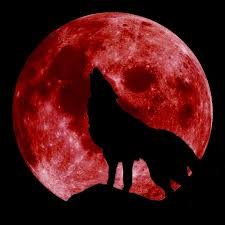 Howling at the Moon: News Blitz