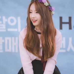 Loonaverse 03: The Bird Who Took Over My Life
