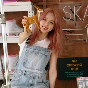 Loonaverse 06: The Girl With the Roundest Face