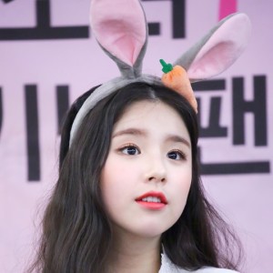 Loonaverse 01: A One-to-One Bible Allegory