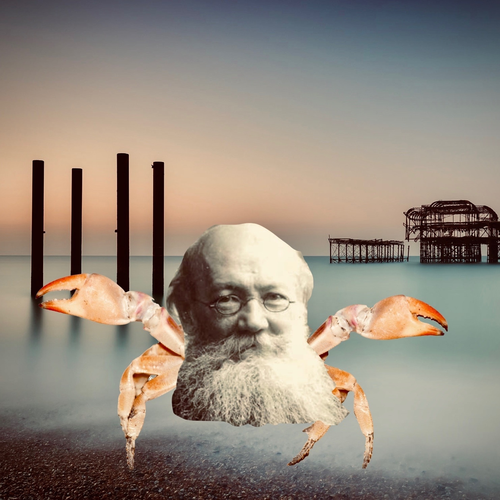 Mandatory Redistribution Party