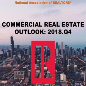 NAR Economic and Commercial Outlook-Investor Sentiment and Sector Outlook